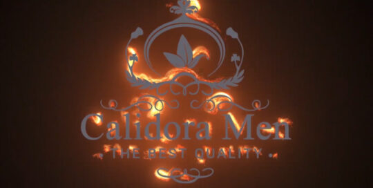 calidora portfolio motion logo photo
